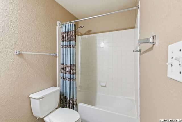 Image 26 of 34 For 2326 Boxer Palm