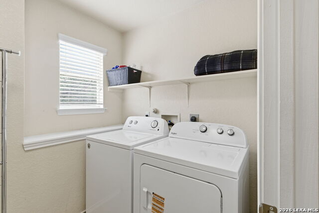 Image 27 of 34 For 2326 Boxer Palm