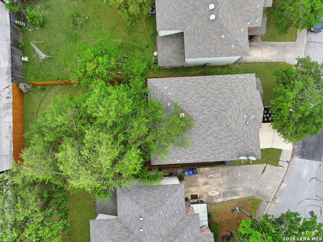 Image 29 of 34 For 2326 Boxer Palm