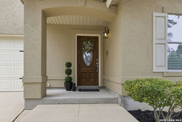 Image 4 of 34 For 2326 Boxer Palm