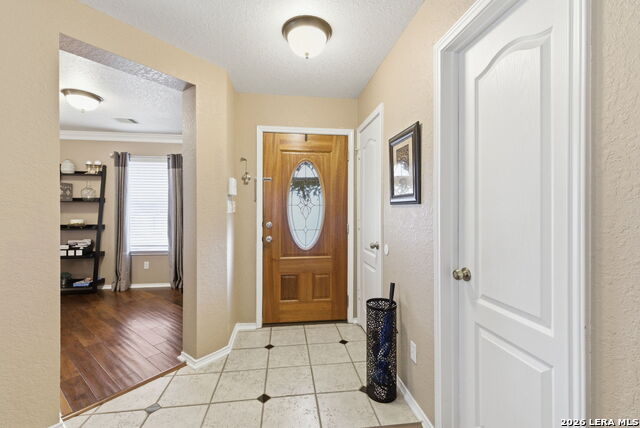 Image 6 of 34 For 2326 Boxer Palm