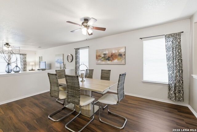 Image 7 of 34 For 2326 Boxer Palm