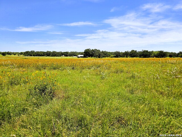 Listing photo id 20 for 799 County Road 6612