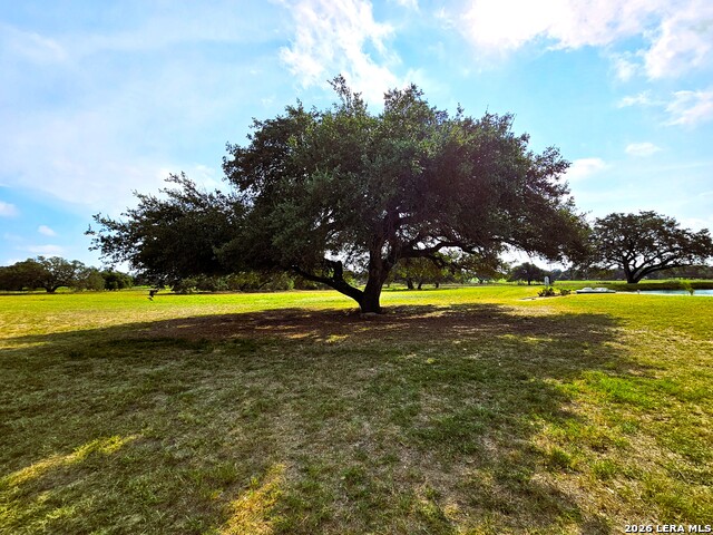 Listing photo id 1 for 799 County Road 6612
