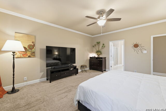 Image 15 of 50 For 8826 Virginia Rye