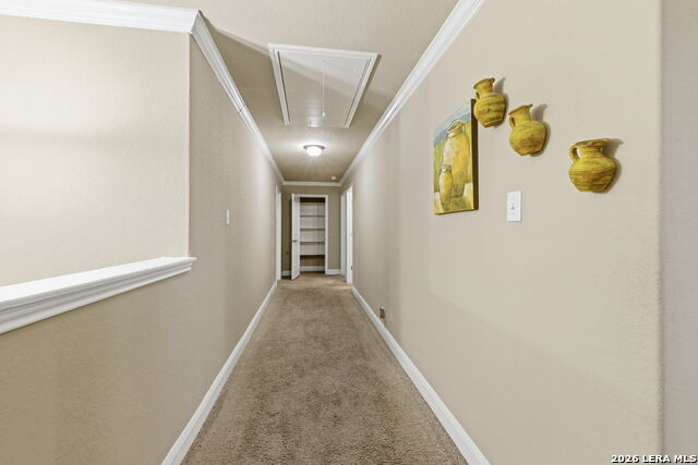 Image 23 of 50 For 8826 Virginia Rye