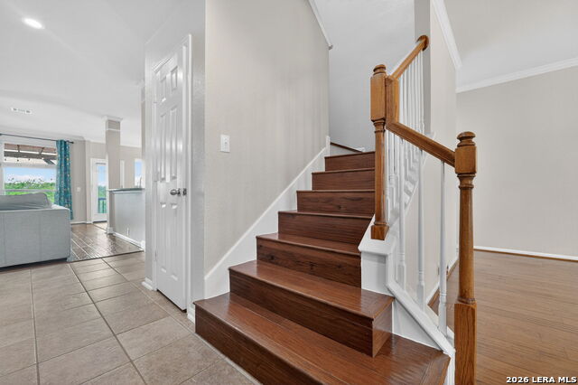 Image 19 of 39 For 25019 Catalan Clf