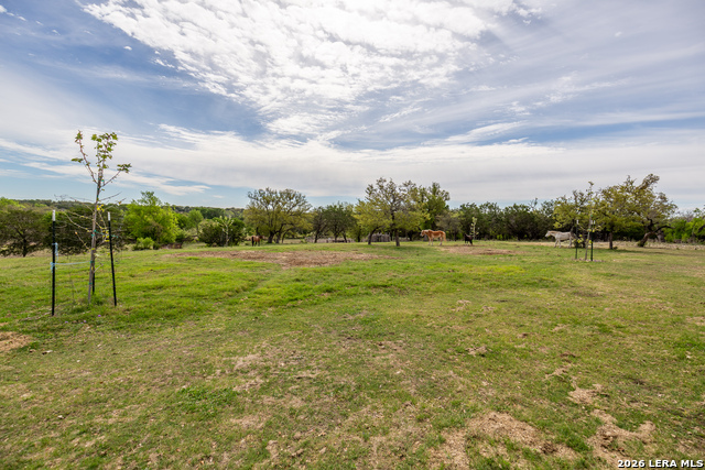 Listing photo id 29 for 395 Bluff Creek