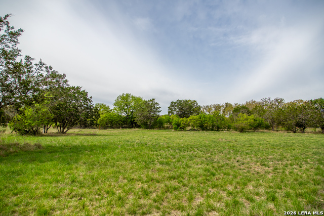 Listing photo id 37 for 395 Bluff Creek