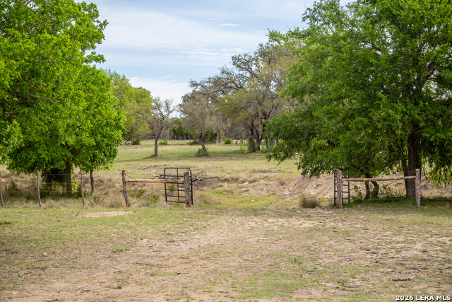 Listing photo id 38 for 395 Bluff Creek