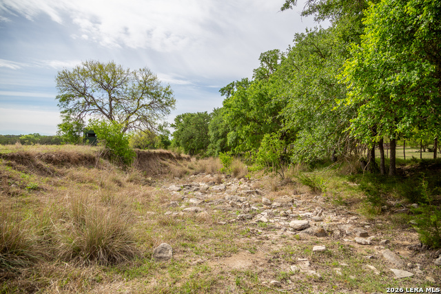 Listing photo id 40 for 395 Bluff Creek