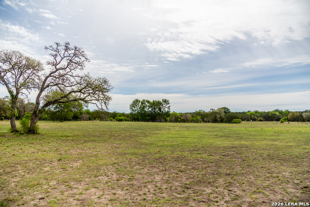 Listing photo id 43 for 395 Bluff Creek