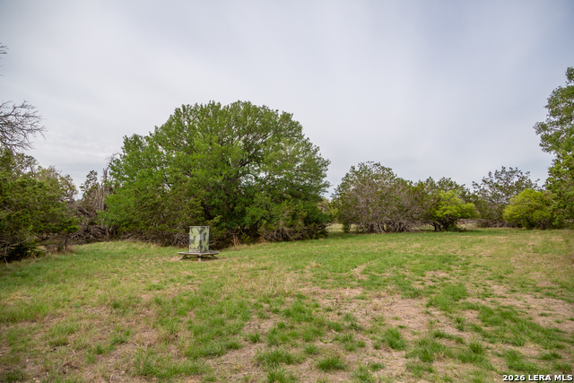 Listing photo id 45 for 395 Bluff Creek