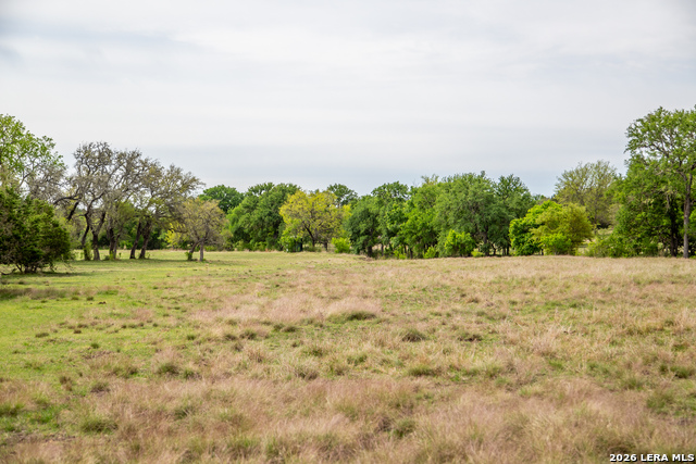Listing photo id 46 for 395 Bluff Creek