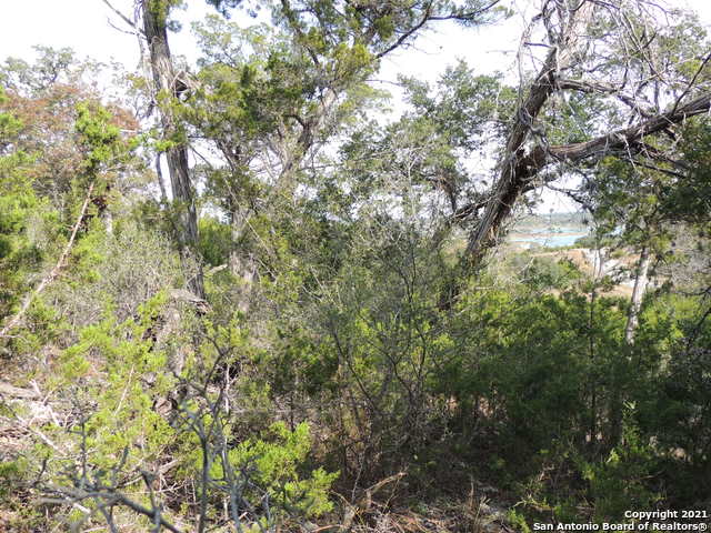 Image 4 of 7 For 1203 Mystic Pkwy