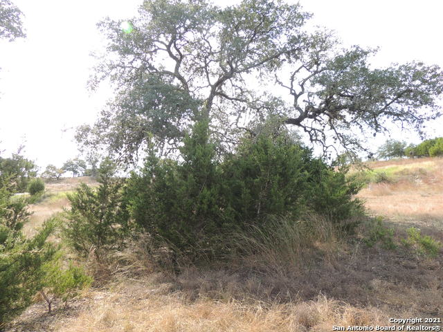 Image 5 of 7 For 1203 Mystic Pkwy