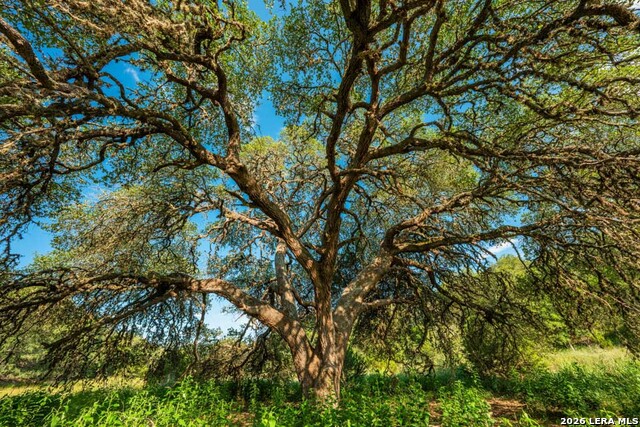 Image 13 of 21 For 0 A Fm 1888  