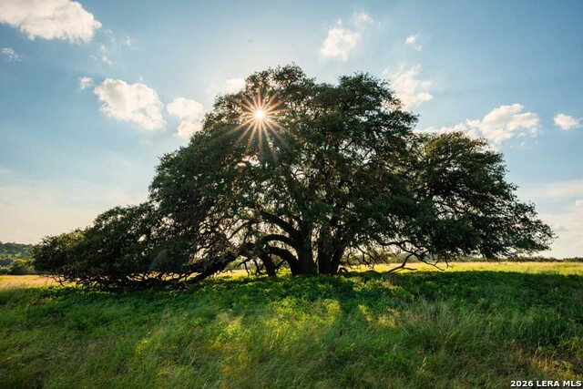 Image 15 of 21 For 0 A Fm 1888  