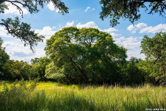 Image 18 of 21 For 0 A Fm 1888  