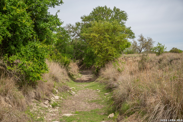 Image 41 of 50 For 395 Bluff Creek