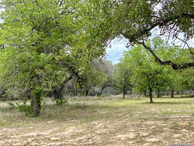 Details for 472 Rose Blossom Loop, La Vernia, TX 78121
