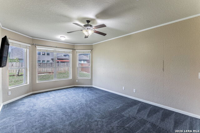 Image 14 of 33 For 1715 Viljandi Moon