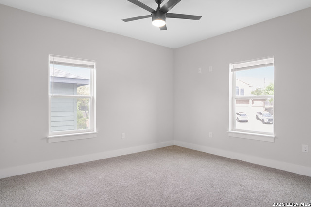 Image 14 of 24 For 10743 Pharaoh