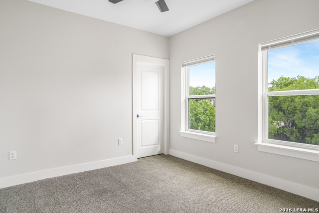 Image 15 of 24 For 10743 Pharaoh