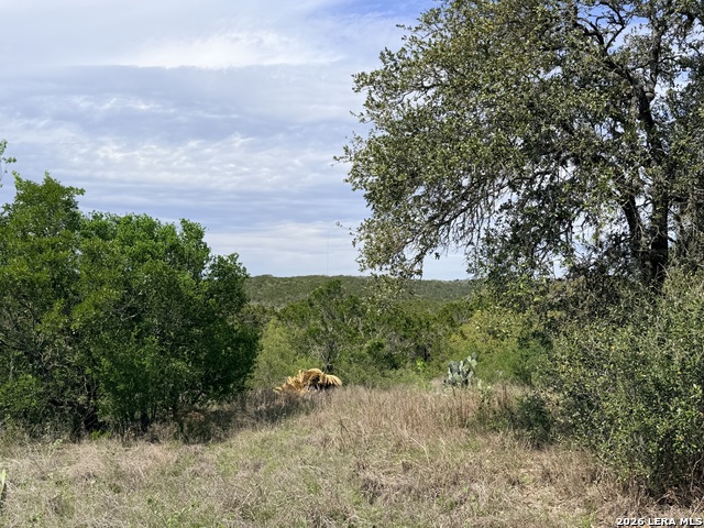 Details for 686 County Road 2700, Mico, TX 78056