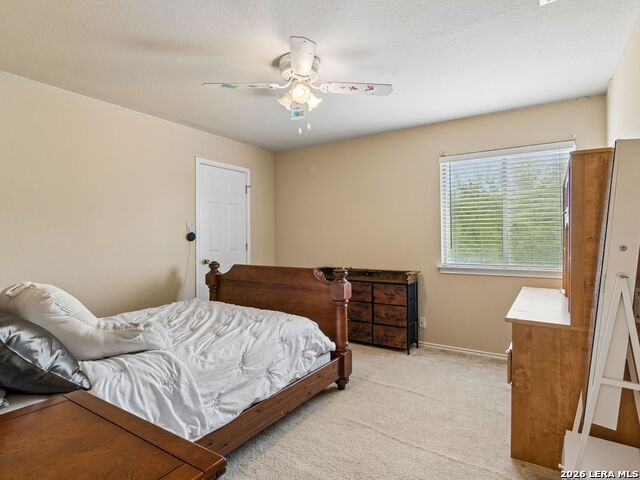 Listing photo id 18 for 235 Roadrunner