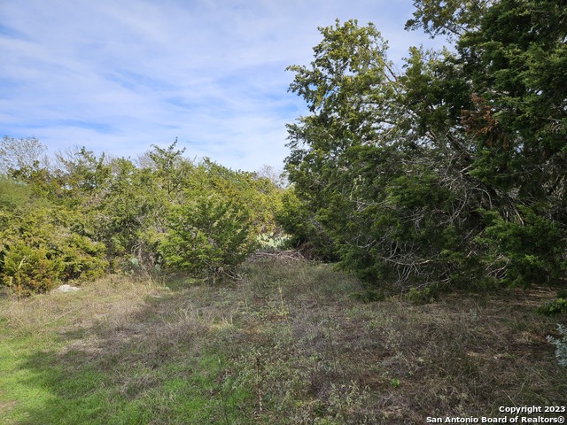 Image 3 of 12 For 526 Spacious Sky