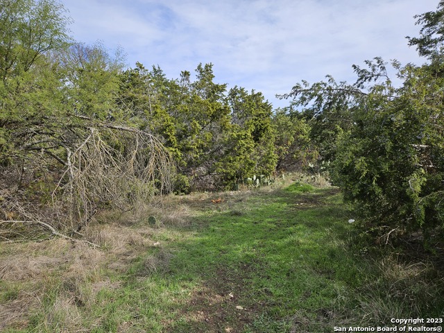 Image 4 of 12 For 526 Spacious Sky