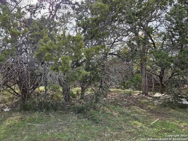 Image 7 of 12 For 526 Spacious Sky