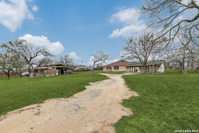 Image 34 of 36 For 470 Blue Quail