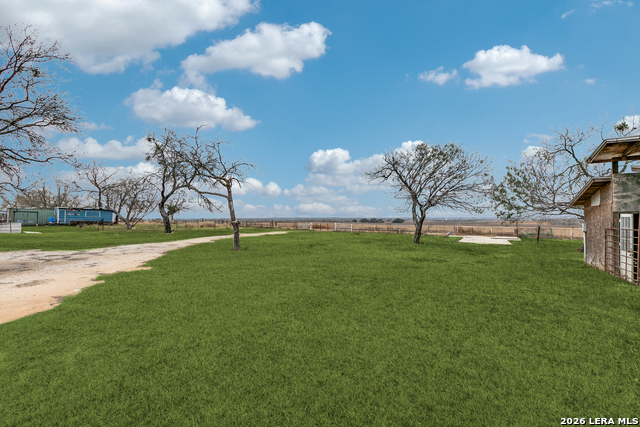 Image 36 of 36 For 470 Blue Quail