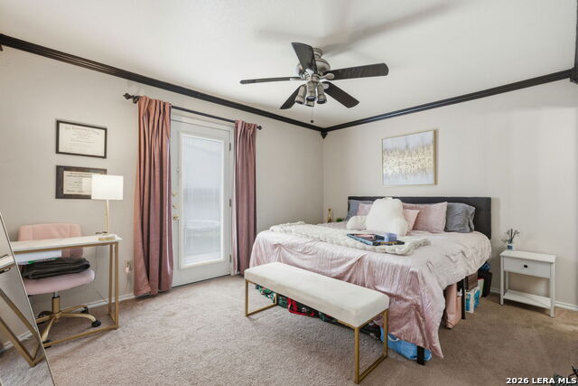 Image 11 of 17 For 121 Plant S 302