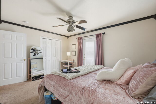 Image 12 of 17 For 121 Plant S 302