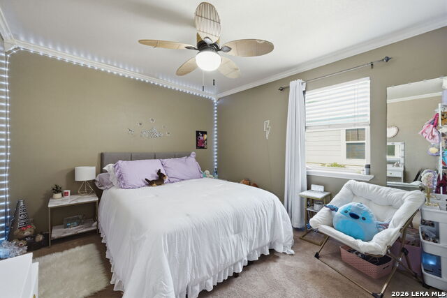 Image 14 of 17 For 121 Plant S 302