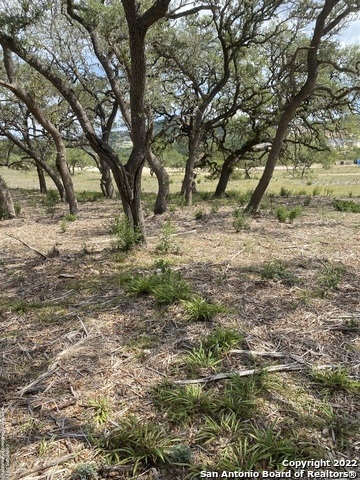 Image 3 of 11 For 24510 Paraiso Ridge