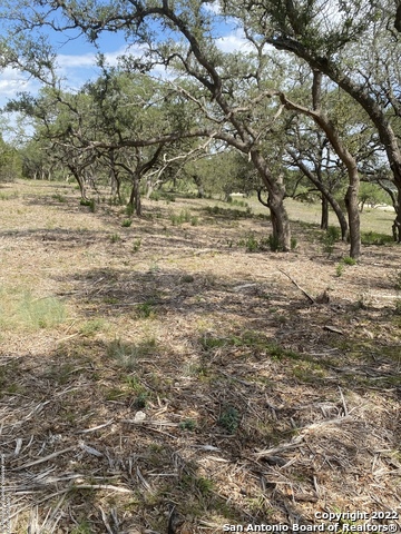 Image 4 of 11 For 24510 Paraiso Ridge