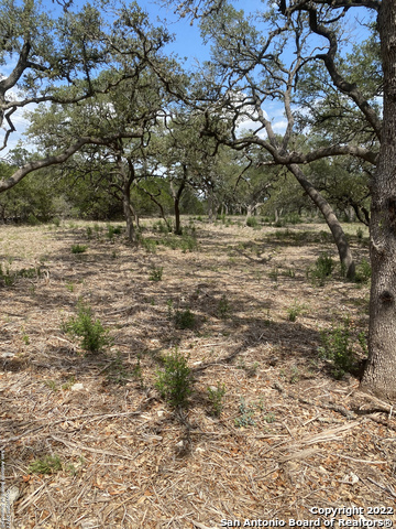 Image 6 of 11 For 24510 Paraiso Ridge