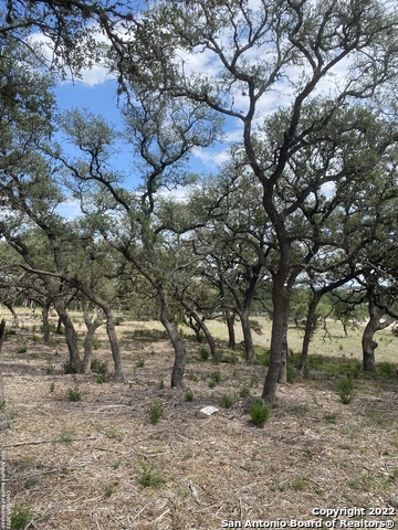 Image 9 of 11 For 24510 Paraiso Ridge