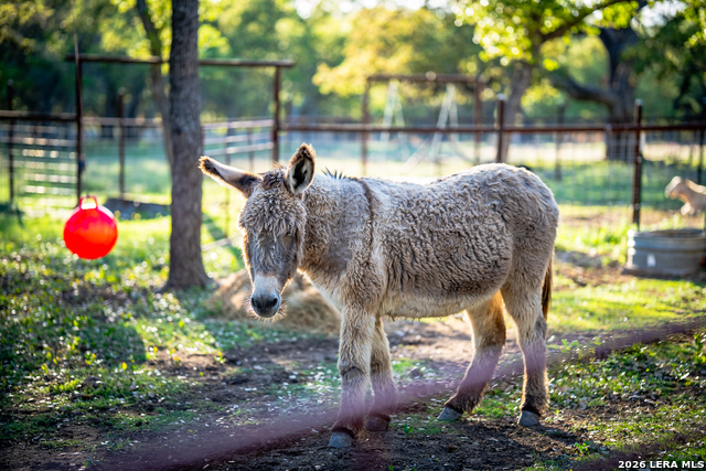 Image 3 of 45 For 2873 Ranch Road 1888