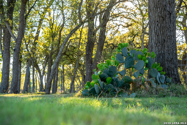 Image 44 of 45 For 2873 Ranch Road 1888