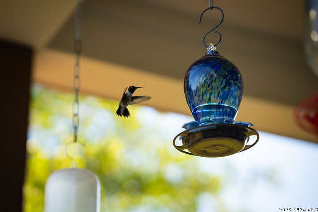 Image 9 of 45 For 2873 Ranch Road 1888