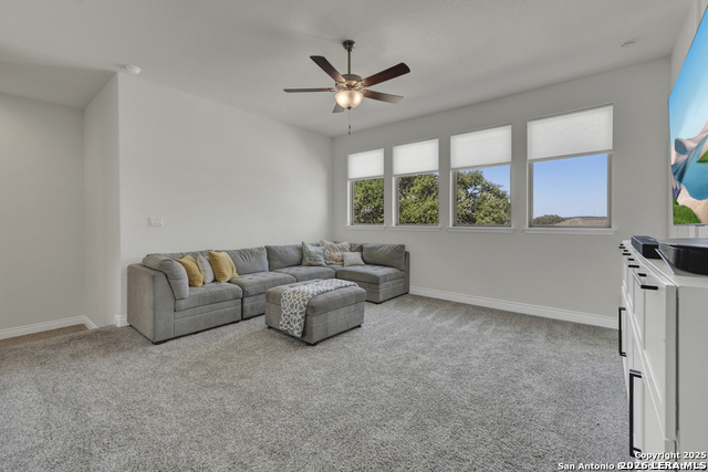 Image 25 of 53 For 395 Sugarcane