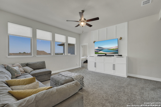 Image 26 of 53 For 395 Sugarcane