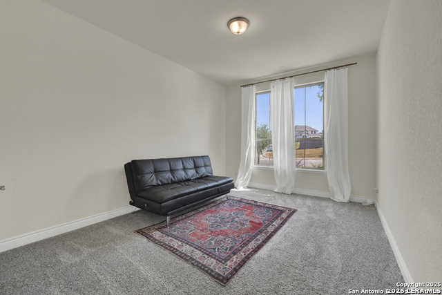 Image 28 of 53 For 395 Sugarcane