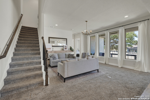 Image 6 of 53 For 395 Sugarcane