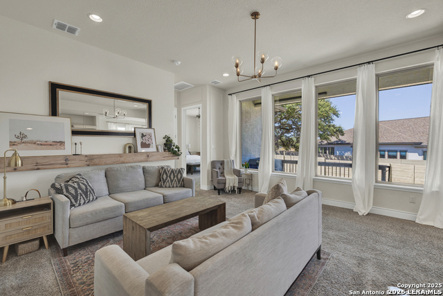 Image 8 of 53 For 395 Sugarcane